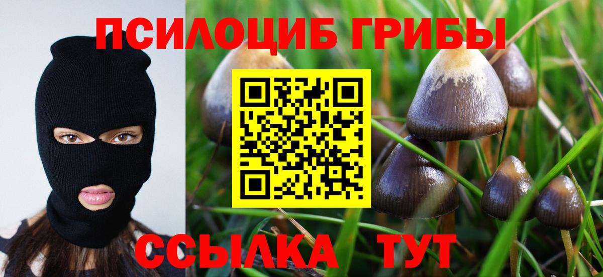 Галлюциногенные грибы MAGIC MUSHROOMS  Вход с VPN  Верхний Уфалей  Галлюциногенные грибы Psilocybe 